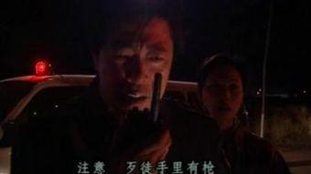 天网：罪案纪实,天网下的真实纪实故事