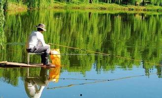 垂钓法则,揭秘钓鱼高手们的成功秘诀